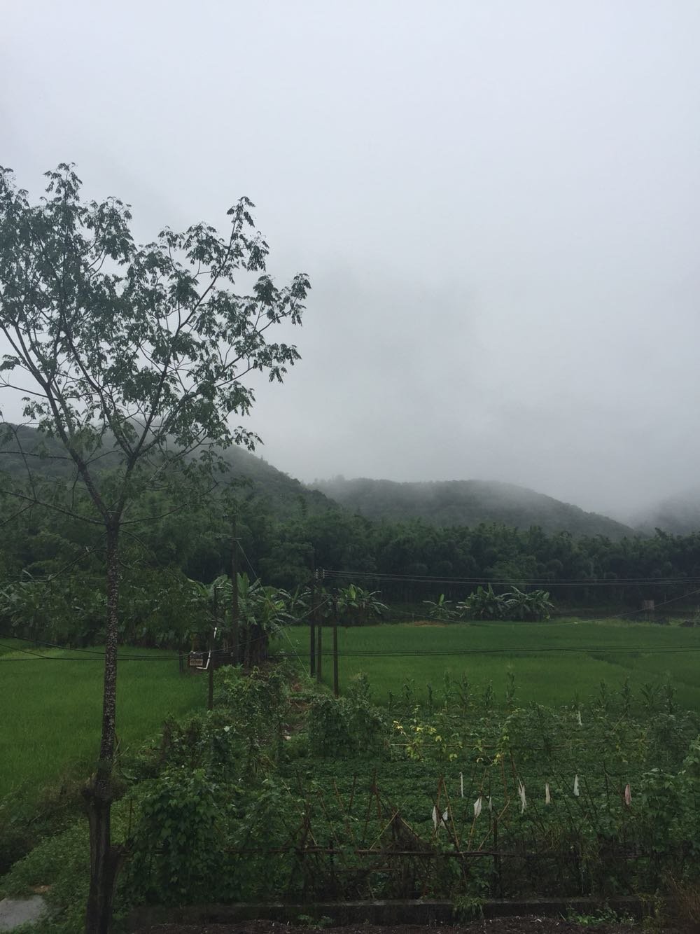 书院社区村最新天气预报通知