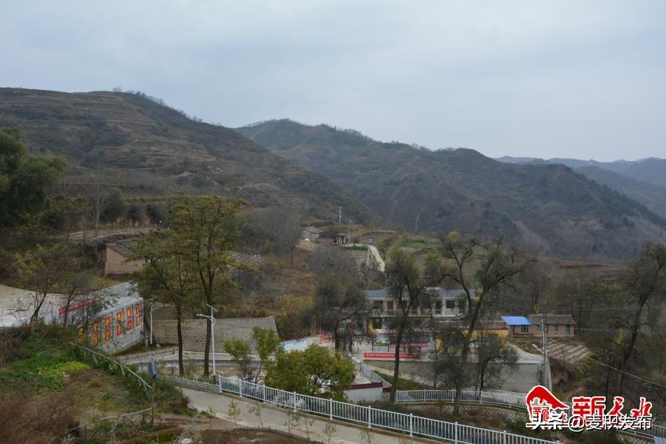 左尧村委会最新动态报道