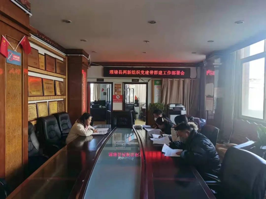 拉萨市审计局最新项目概况及其影响分析