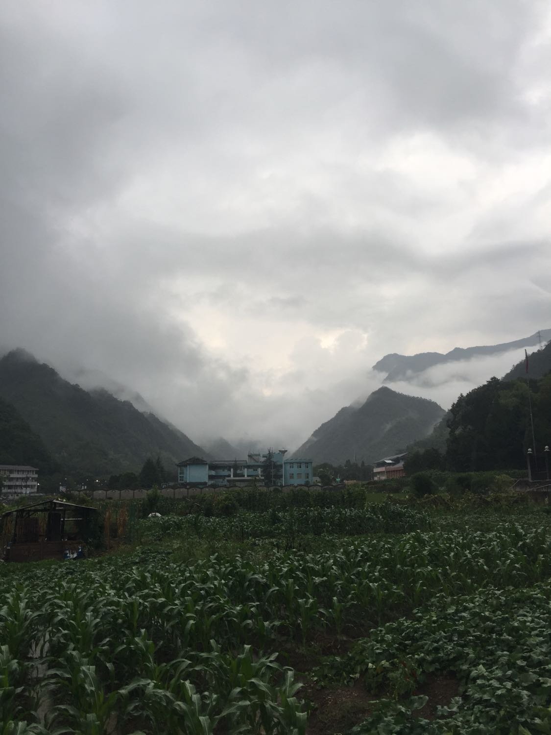 罗坡村民委员会天气预报更新通知