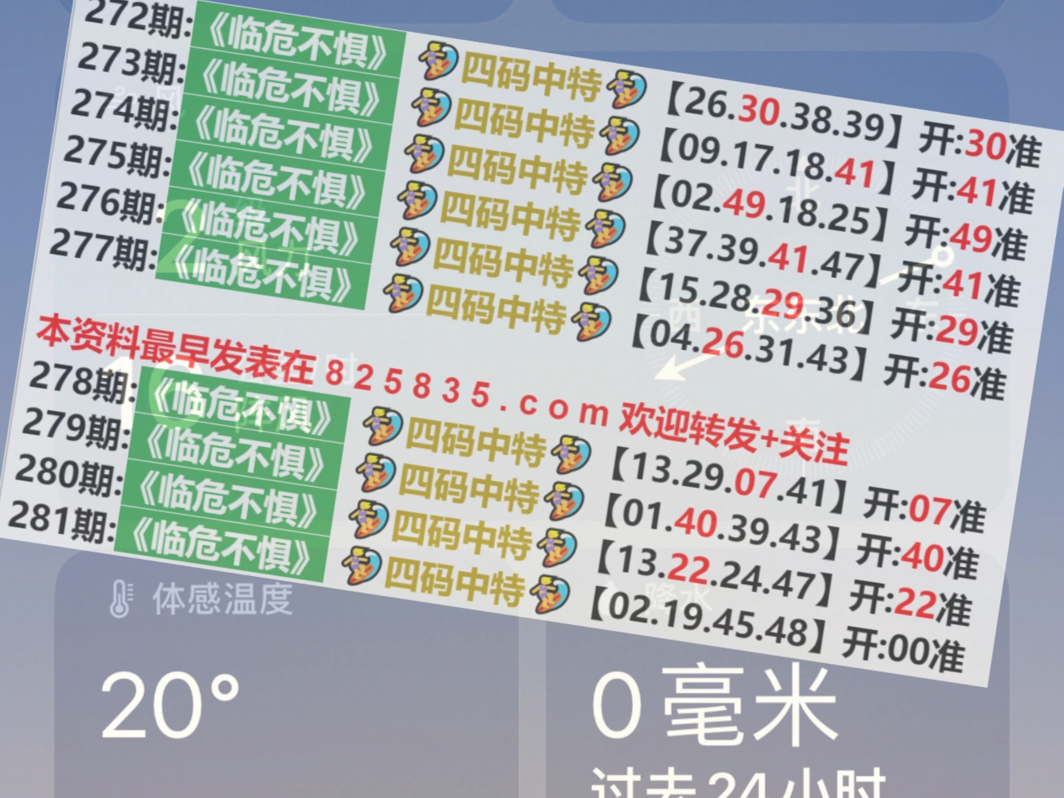 慈清懿 第2页