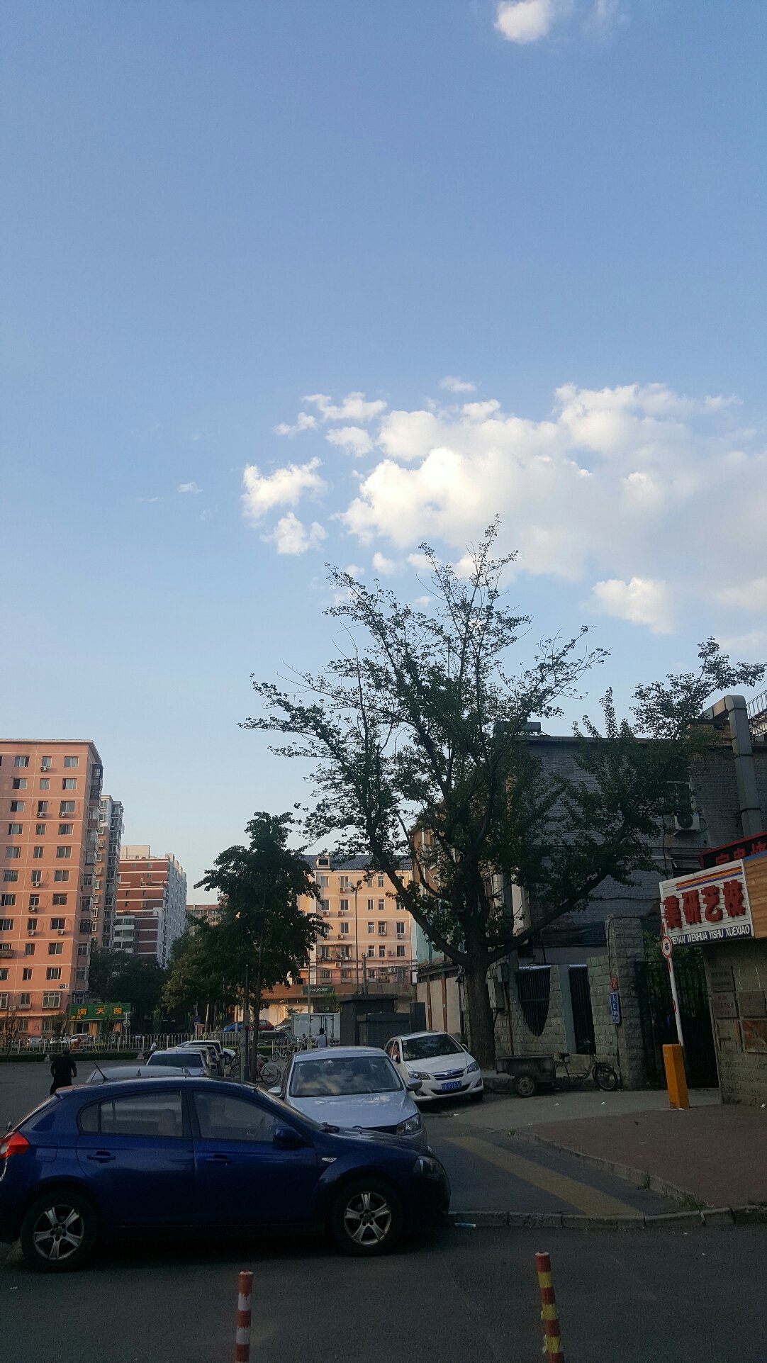 团结桥社区天气预报更新通知