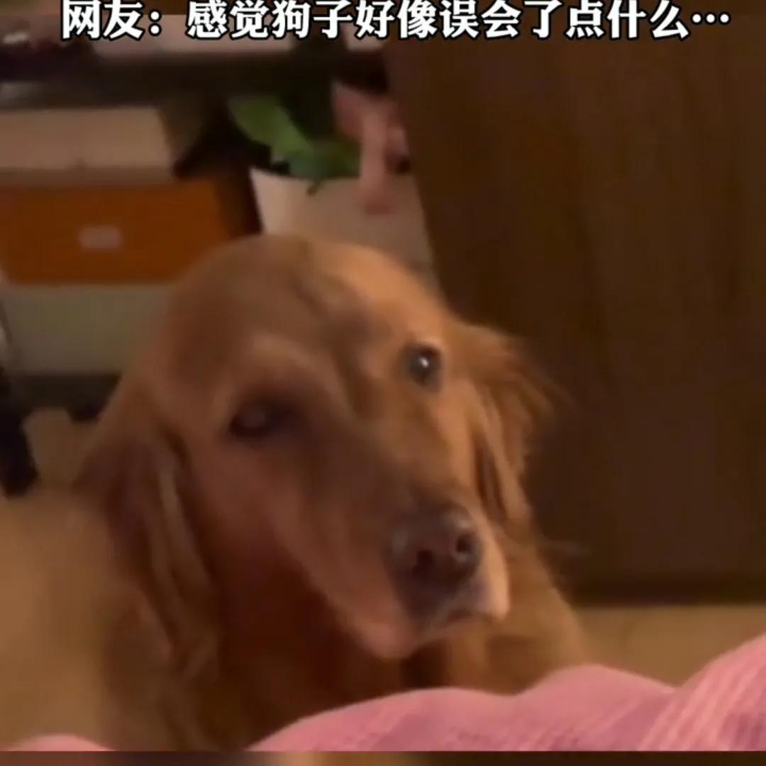 成都最新守夜，夜生活的魅力与变迁之旅