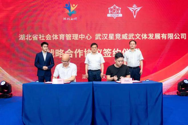 当阳市体育局新项目引领城市体育事业迈向新高度