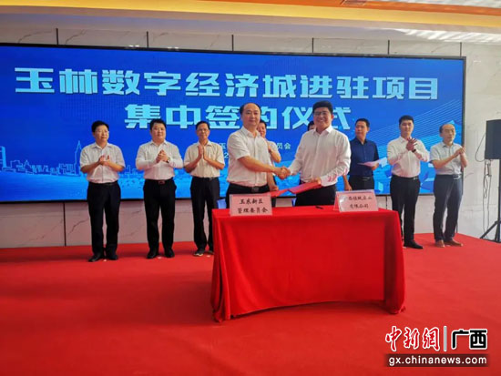 玉林市统计局最新项目揭秘，数据背后的故事与洞察