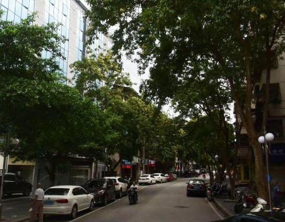 最新桂林招工信息概览