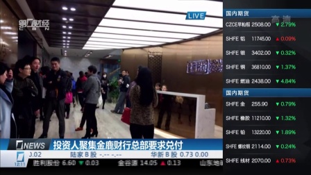 金鹿财行最新动态解读，行业趋势、产品创新及未来发展展望
