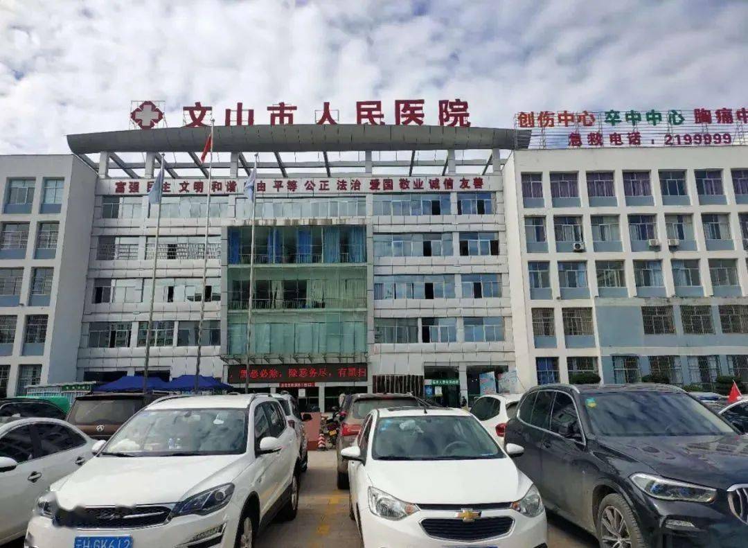 文山壮族苗族自治州市人民检察院最新项目研究动态