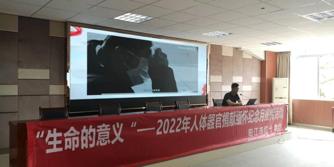 探索人体奥秘的新领域，最新人体网站大盘点