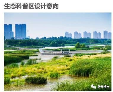 蜀西湖最新动态与魅力展现探秘